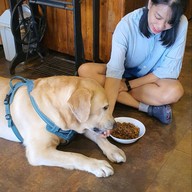 🏡 บ้านมันนี่ : กาแฟ☕️ ปากช่อง