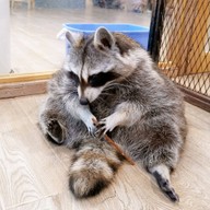 Little Zoo Cafe Onnut Plaza