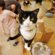 Little Zoo Cafe Onnut Plaza