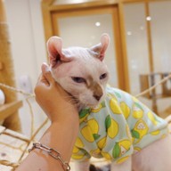 Little Zoo Cafe Onnut Plaza