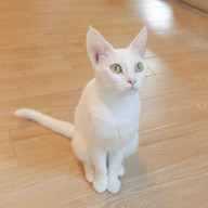 Little Zoo Cafe Onnut Plaza