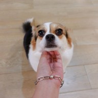 Little Zoo Cafe Onnut Plaza