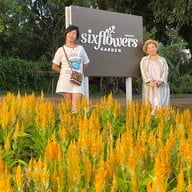 Six Flowers Garden