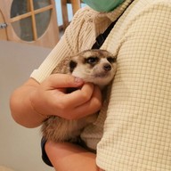 Little Zoo Cafe Onnut Plaza