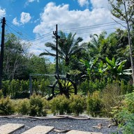 ปลายพู่พลูวิลล่า PlaiPhu Pool Villas