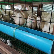ซันซันพูลวิลล่าเขาใหญ่