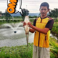 ซันซันพูลวิลล่าเขาใหญ่
