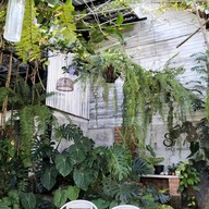 บรรยากาศ SAYA cafe & restaurant ชัยภูมิ