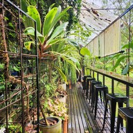 Tree space