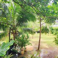 Tree space