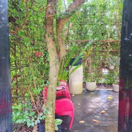 Tree space