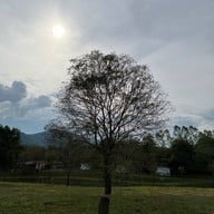 บ่อน้ำพุร้อนหนองหญ้าปล้อง