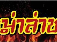 แมลงทอด