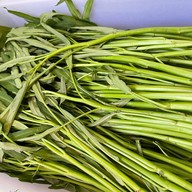 บ้านเพื่อน@สวนส้ม ปากทางซอย15