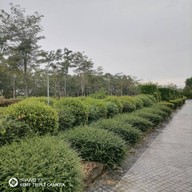 บรรยากาศ สวนวลัยลักษณ์