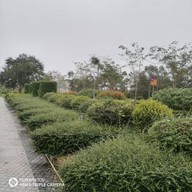 บรรยากาศ สวนวลัยลักษณ์