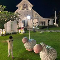 Cottage Coffee & Cake