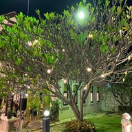 Cottage Coffee & Cake