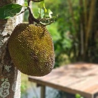 Assana Khaoyai