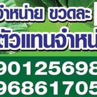 เสี่ยขวัญบางปู