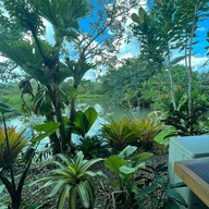 PADTHAI TONJIK RESTAURANT & CAFE