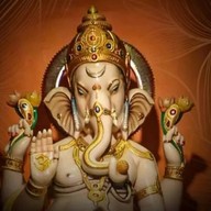 ปลาเผา ป.ตรี จิงโจ้