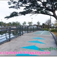 สวนสาธารณะหนองแก้ช้าง