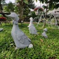 บรรยากาศ ลานดอกไม้คาเฟ่