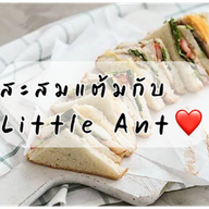 JAMO•จาโม่ ทะเลถัง