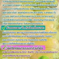 นายโซ่ทุเรียนบ้านแพ้ว บ้านแพ้ว