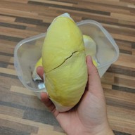 นายโซ่ทุเรียนบ้านแพ้ว บ้านแพ้ว