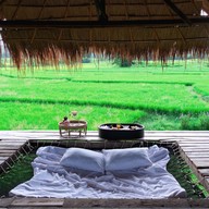 ศรีนาม่าน