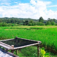 ศรีนาม่าน