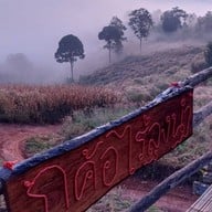 ภูค้อ นาแห้ว เลย