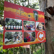 Jungle De Cafe