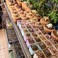 บรรยากาศ Oasis Cafe' -