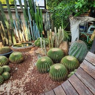 บรรยากาศ Oasis Cafe' -