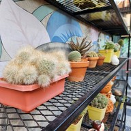 บรรยากาศ Oasis Cafe' -