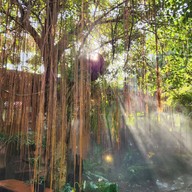 บรรยากาศ Oasis Cafe' -