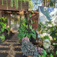 บรรยากาศ Oasis Cafe' -