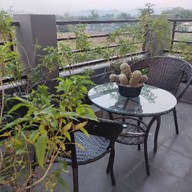 ฟิก้า คอฟฟี่ แอนด์ แคตตัส -