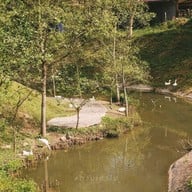 Alpaca Hill