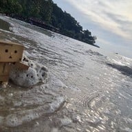 เกาะช้าง