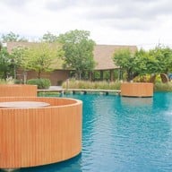 Bubble in the forest cafe