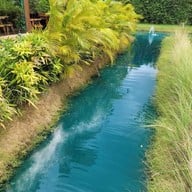 Bubble in the forest cafe
