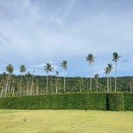 เกาะกูด