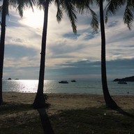 เกาะหมาก