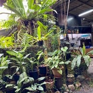 ขนมจีนในสวน นครศรีธรรมราช