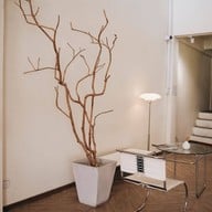 Two Do Something Two do Something