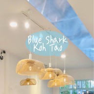 blueshark kohtao kohtao